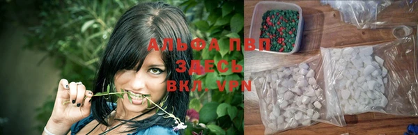 прущие грибы Сосновоборск