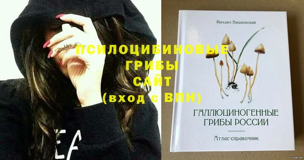 эйфоретик Яранск