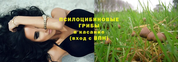 герыч Няндома